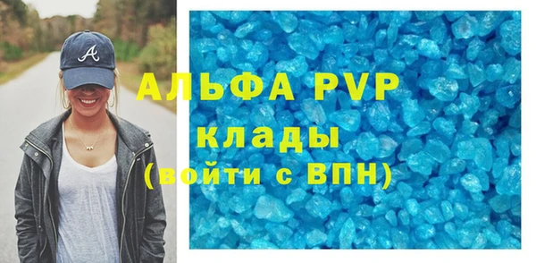 прущие грибы Лиски